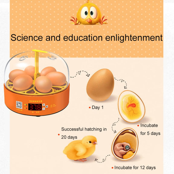 6-Eggs Small Household Experimental Children Smart Chicken Incubators, Spec: Dual-electric Automatic US Plug