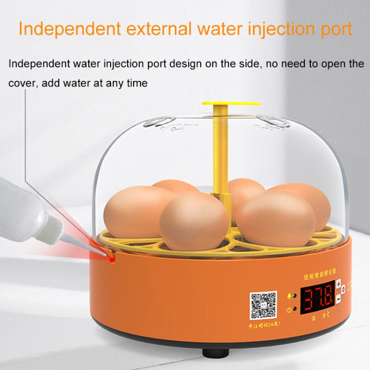6-Eggs Small Household Experimental Children Smart Chicken Incubators, Spec: Automatic US Plug