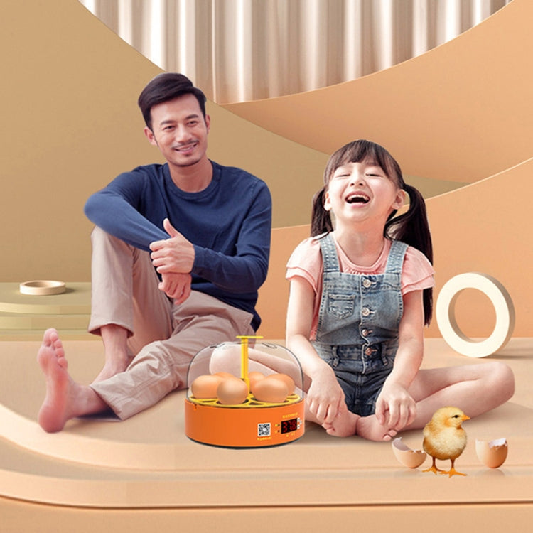 6-Eggs Small Household Experimental Children Smart Chicken Incubators, Spec: Dual-electric Automatic US Plug