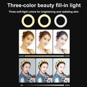 YRing48 4-Inch 48LEDs Laptop Camera Video Conference Live Beauty Ring Fill Light, Spec: Clip Set