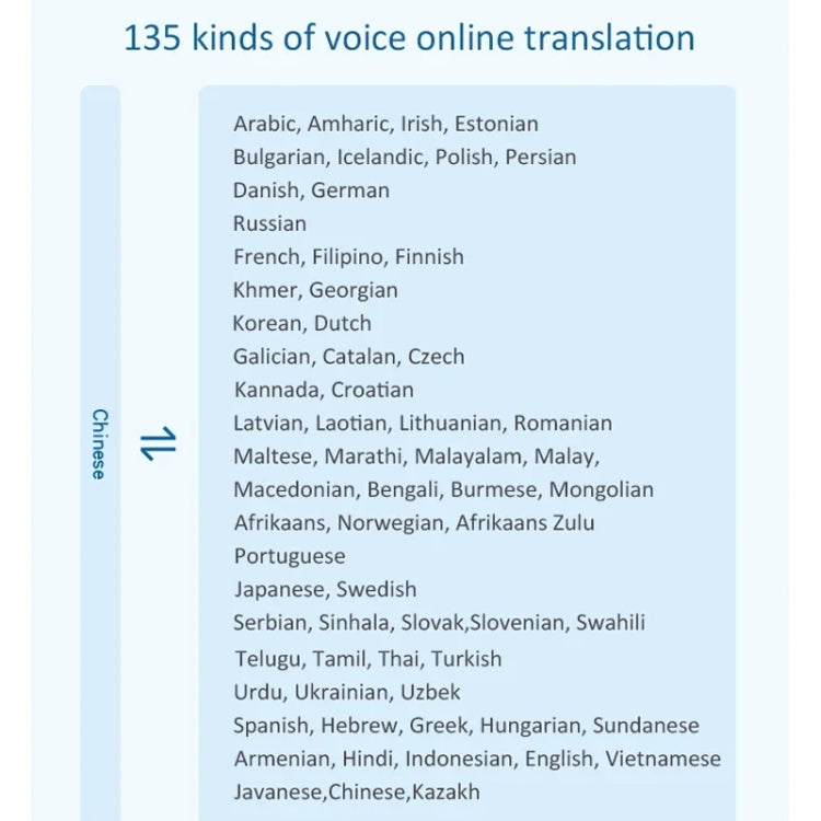Hishell P40 Smart Translator 135 Languages Voice Intelligent Online Translation Machine Offline Multilanguage Speech Translate(Black)