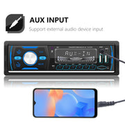 Dual USB Car DAB Digital U Disk Card Bluetooth Radio MP3 Player(SWM-M4)