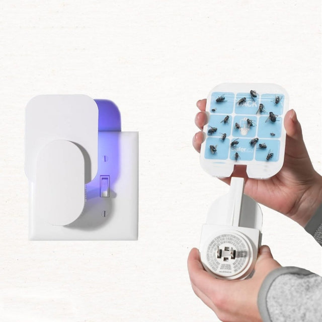 Plug-In Refillable Fly Trap For Flies, Moths, Gnats, And Other Flying Insects With 2 Glue Cards EU Plug(White)