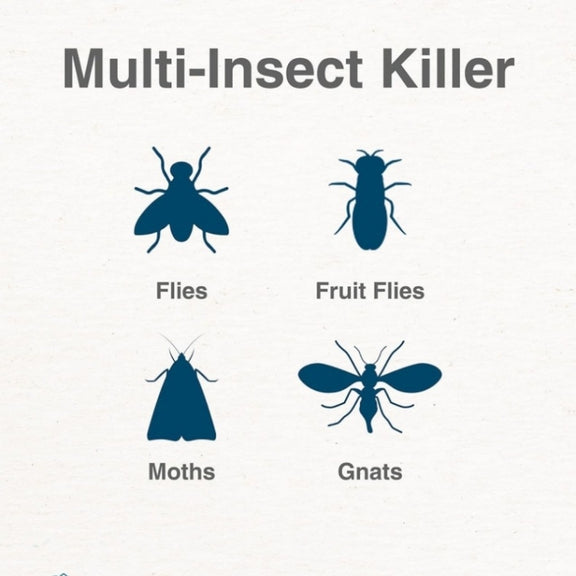 Plug-In Refillable Fly Trap For Flies, Moths, Gnats, And Other Flying Insects With 2 Glue Cards EU Plug(White)