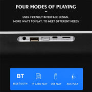 NBY 6690 TWS Couplet FM Multifunctional Desktop Plug-in Card Bluetooth Speaker(Black)