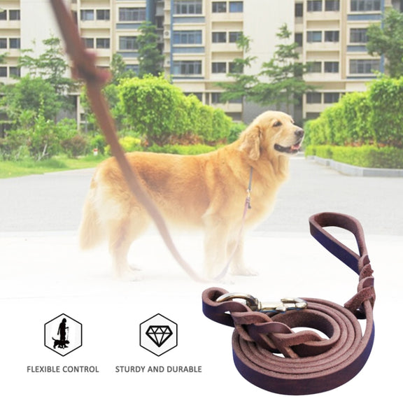 1.2 x 300cm Pet Outing Cowhide Towing Leash Dog Training Harness(Bronze Hook)