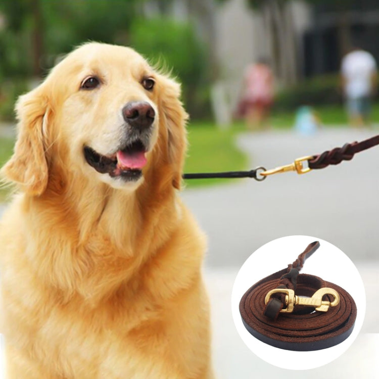 1.2 x 300cm Pet Outing Cowhide Towing Leash Dog Training Harness(Bronze Hook)