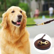 1.2 x 300cm Pet Outing Cowhide Towing Leash Dog Training Harness(Bronze Hook)