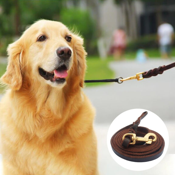 1.2 x 250cm Pet Outing Cowhide Towing Leash Dog Training Harness(Iron Hook)