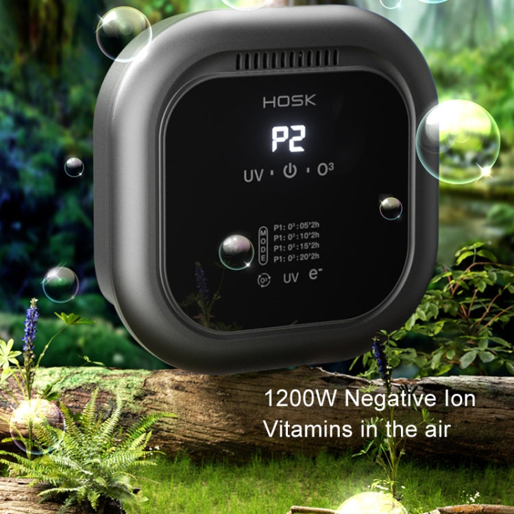 HOSK XT-01 UV Pet Air Purifier Household Deodorant Ozone Generator, Size: USB Plug(Black)