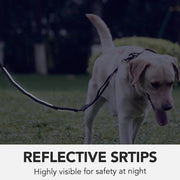Heavy Duty Bungee Dog Leash Reflective Shock Absorbing Leashes for Medium Large Dogs(Khaki)