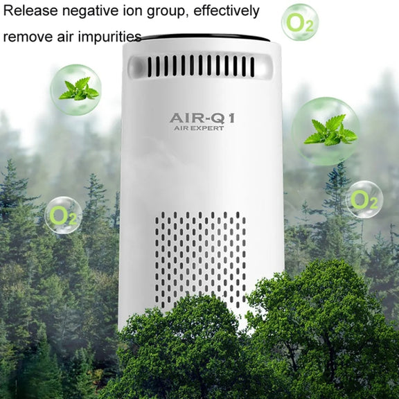 Car Negative Ion Air Purifier Odor Removal Aromatherapy(Black)