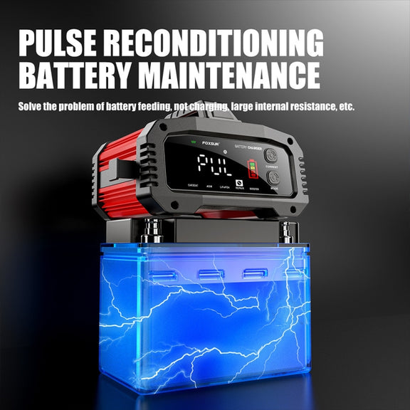 FOXSUR 25A 12V/24V Portable High-Power Car Ship Motorcycle Charger(AU Plug)
