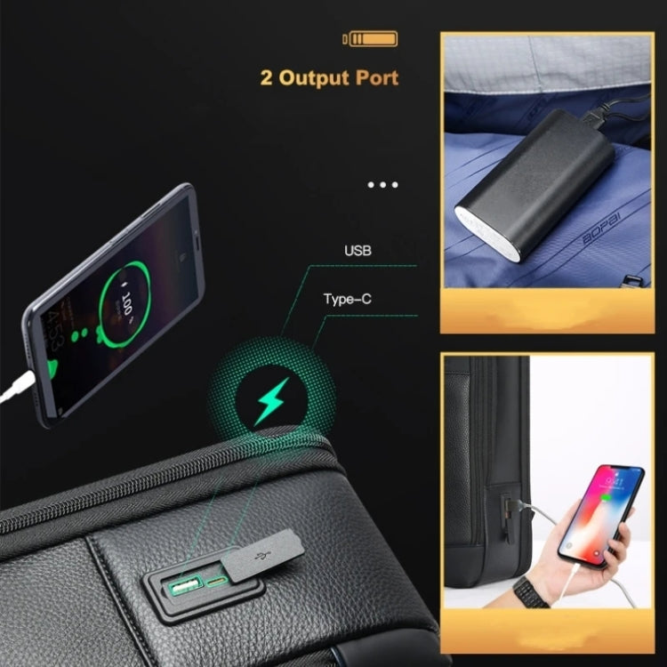 Bopai 61-122391 Large-capacity First-layer Cowhide Business Laptop Backpack With USB+Type-C Port(Black)