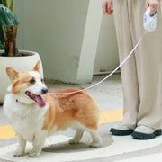 LED Light Luminous Pet Dog Leash Automatic Retractable Dog Walking Leash, Color: 5m Orange