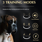 1 Drag 3 Pet Electronic Fence Wireless Stop Barker Outdoor Dog Collar Remote Control Dog Trainer(White)