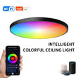 24W 30cm RGBCW Full Color Smart WiFi Tuya Ceiling Light with Remote Control - Smart Light Bulbs by PMC TechLife | Online Shopping South Africa | PMC TechLife | Buy Now Pay Later Mobicred