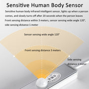 220V CN Plug Motion Sensor Wardrobe Cabinet Lamp LED Light Bar, Spec: Warm White 50cm