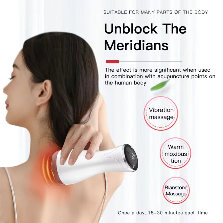 Acupuncture Stone Electric Hot Compress Vibrating Massager Whole Body Universal 9-speed Adjustable Gua Sha Apparatus(Black)