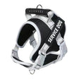 Large Dog Explosion Proof Punch Chest Harness Dog Travelling Leash, Style: Single Black(XXL) - Leashes & Chest Strap by PMC TechLife | Online Shopping South Africa | PMC TechLife | Buy Now Pay Later Mobicred