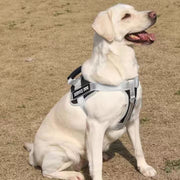 Large Dog Explosion Proof Punch Chest Harness Dog Travelling Leash, Style: Black+1.5m Round Rope(XL)