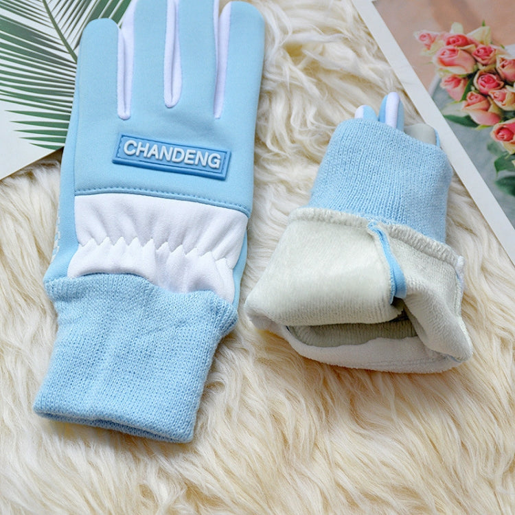 Winter Ski Velvet Warm Gloves Touch Screen Outdoor Riding Water-resistant Windproof Gloves, Size: Average(Black)