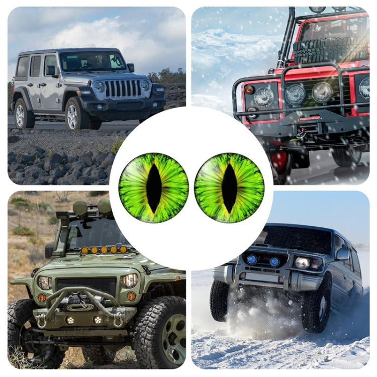 1pair Beast Eyes Headlight Decorative Stickers Off-Road Vehicle Front Lights Stereo Decals, Style: 31