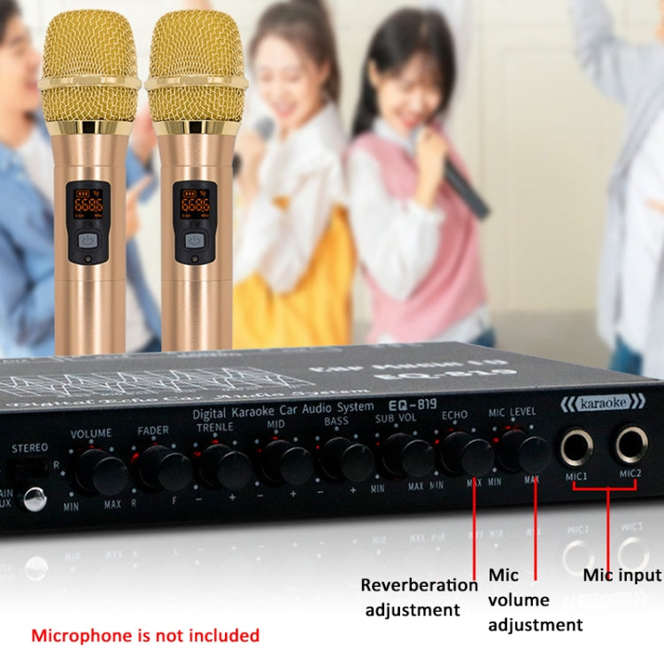 EQ-819 Car Audio Equalizer EQ Tuning Crossover Amplifier Supports Dual Microphone Input Reverberation Adjustment