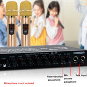 EQ-819 Car Audio Equalizer EQ Tuning Crossover Amplifier Supports Dual Microphone Input Reverberation Adjustment