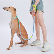 Explosion-Proof  Two-Stage Dog Leash With Foam Handle For Medium And Large Dogs(Sea Mist Blue)