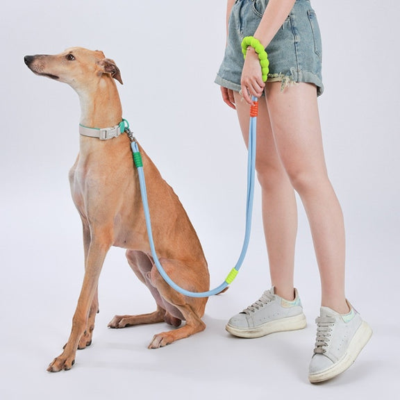 Explosion-Proof  Two-Stage Dog Leash With Foam Handle For Medium And Large Dogs(Sea Mist Blue)