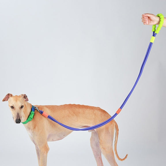 Explosion-Proof  Two-Stage Dog Leash With Foam Handle For Medium And Large Dogs(Sea Mist Blue)