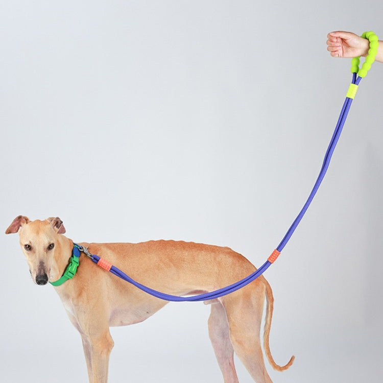 Explosion-Proof  Two-Stage Dog Leash With Foam Handle For Medium And Large Dogs(Sea Mist Blue)