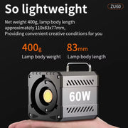 Desiontal ZU-60 60W Hand-Held Camera Light High Power Fill Light, EU Plug, Spec: Standard