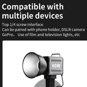 Desiontal ZU-60 60W Hand-Held Camera Light High Power Fill Light, EU Plug, Spec: Standard