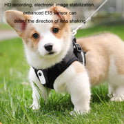 HD Outdoor Portable Pet Recorder Cycling Sports Camera, Specifications: With Silicone Collar