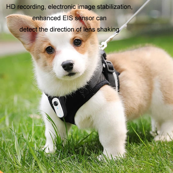HD Outdoor Portable Pet Recorder Cycling Sports Camera, Specifications: With Silicone Collar