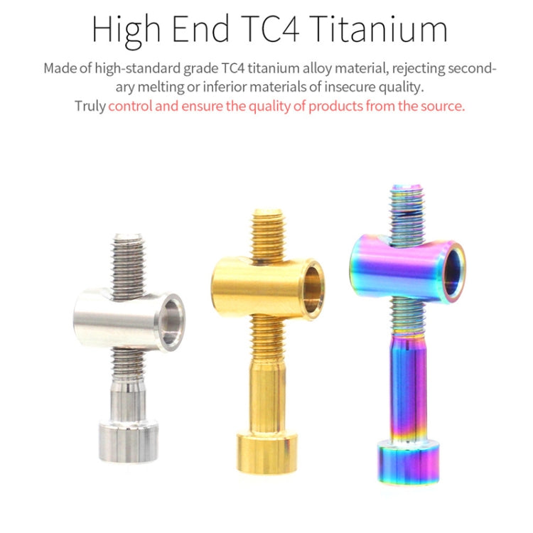 Bicycle Titanium Alloy Seat Post Locking Screws, Color: M6x40 Titanium