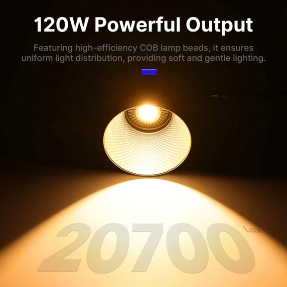 120W Photography Complementary Light Indoor Shooting Video Light, Style: VL-120Bi COB