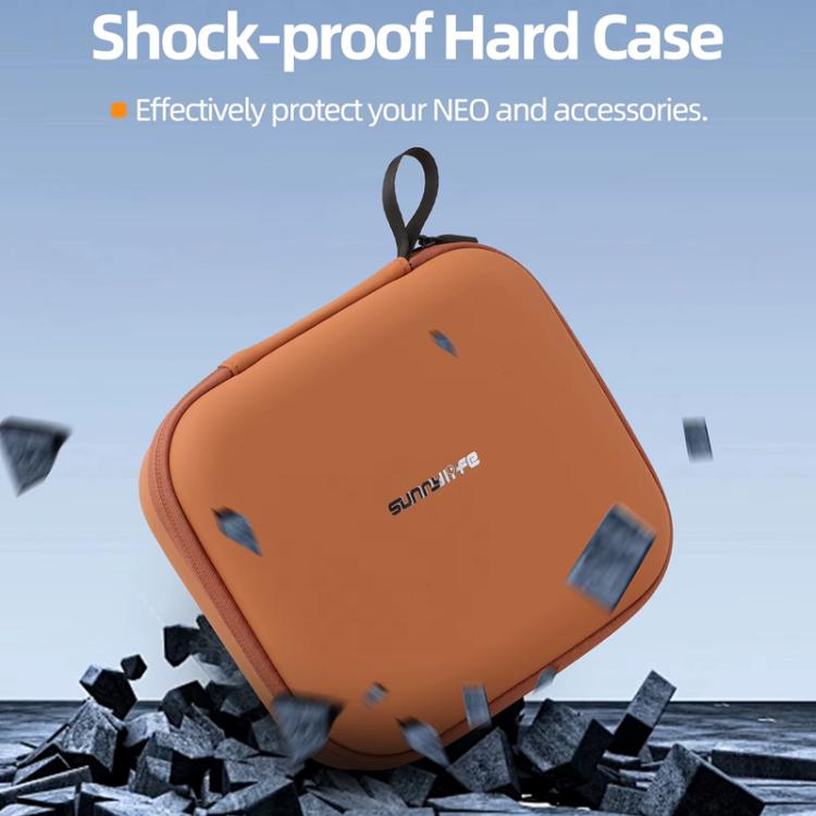 For DJI Flip Sunnylife FP-B957 Storage Bag Mini Vlog Aerial Camera Protective Case(Black)