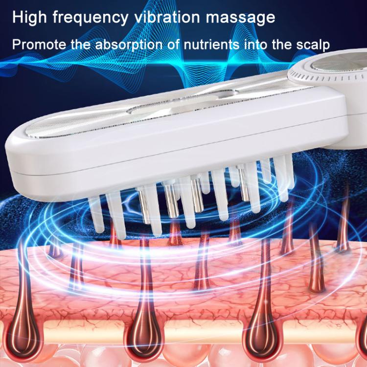 Hair Oil Applicator Roller Ball Red / Blue Light Electric Massage Comb Hair Regrowth Conductive Comb(Black)