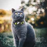 For AirTag Tracker Silicone Case Rainbow Gradient Pet Cat Collar With Bell(Gradient Beige Red)