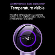 D3 110000 High Speed Smart Constant Temperature Negative Ion Hair Dryer, Color: US Plug Purple