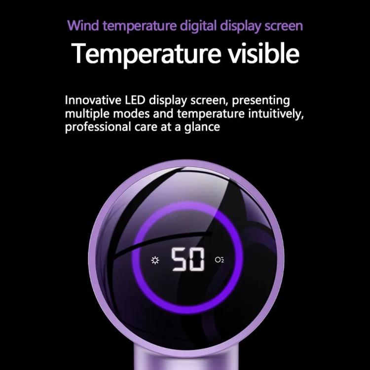 D3 110000 High Speed Smart Constant Temperature Negative Ion Hair Dryer, Color: EU Plug Purple