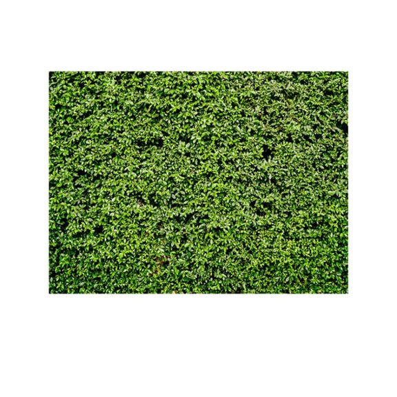 2.1m x 1.5m Green Leaves Wall Birthday party photography background cloth