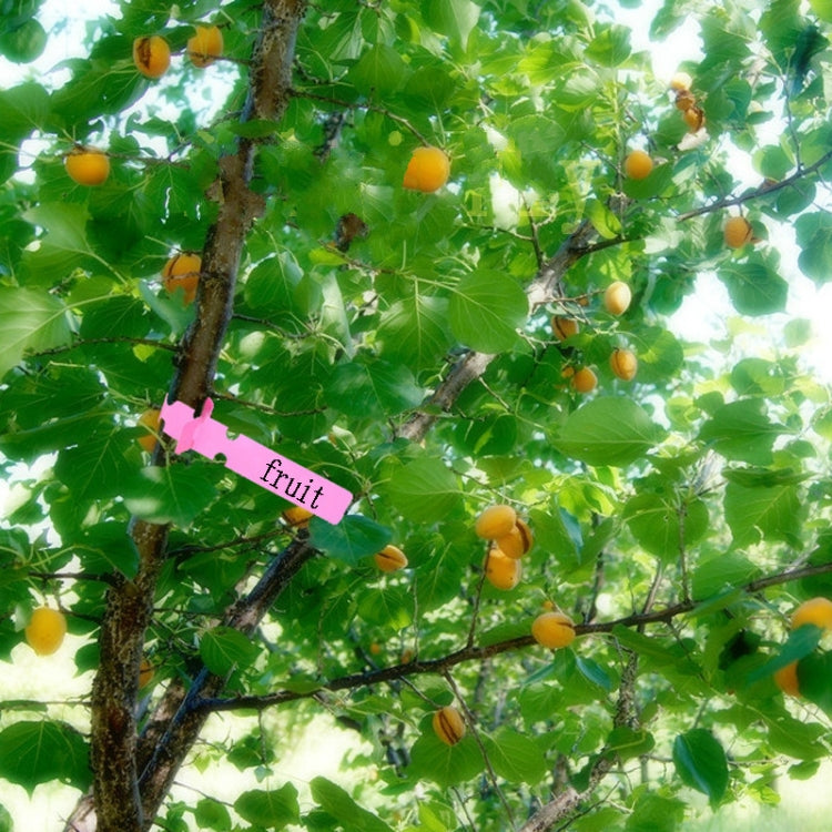 100 PCS Gardening Plant Sapling Seed Hanging Tree Label(Green)