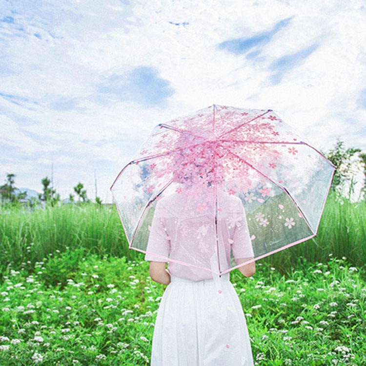 Cherry Blossom Transparent Triple-fold Umbrella Individual Folding Umbrella(Pink)