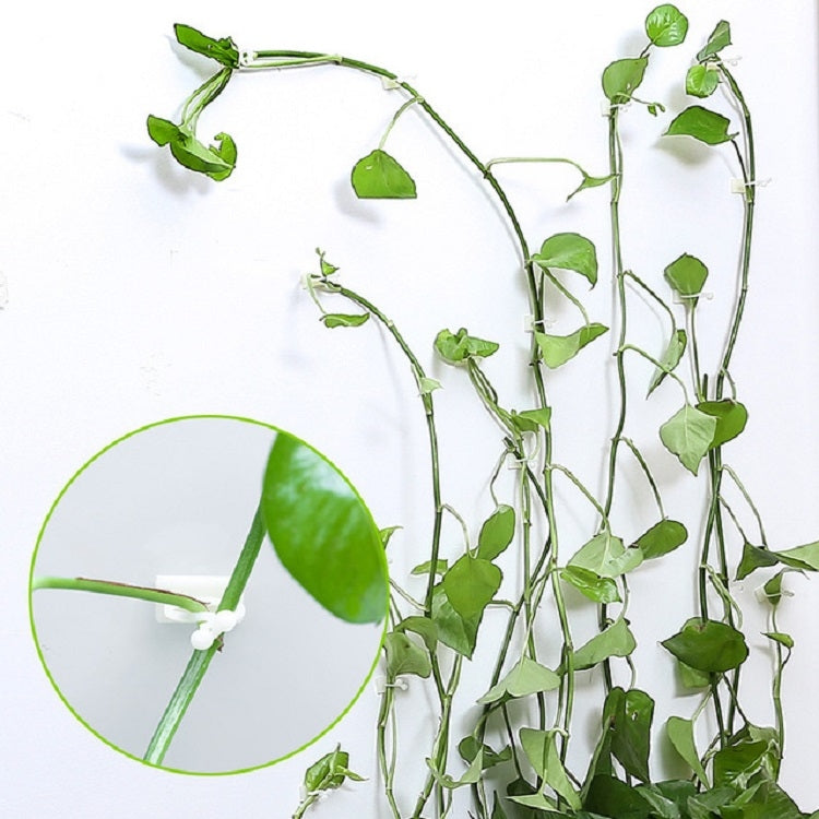 10 PCS Lulu Climbing Wall Fixer Vine Climbing Wall Sticking Hook, Size:Small(White)