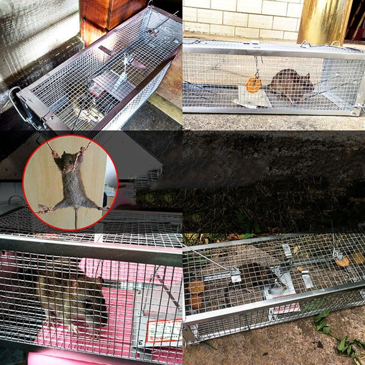 Household Mouse Cage Mousetrap with Double Door(Silver)