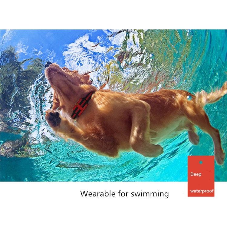500m Dog Training Bark Stopper Remote Control Electric Shock Water-resistant Electronic Collar(Black)